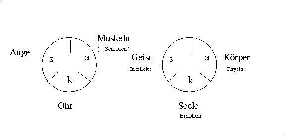 Der MEGA-sak-Grundkreis zugeordnet